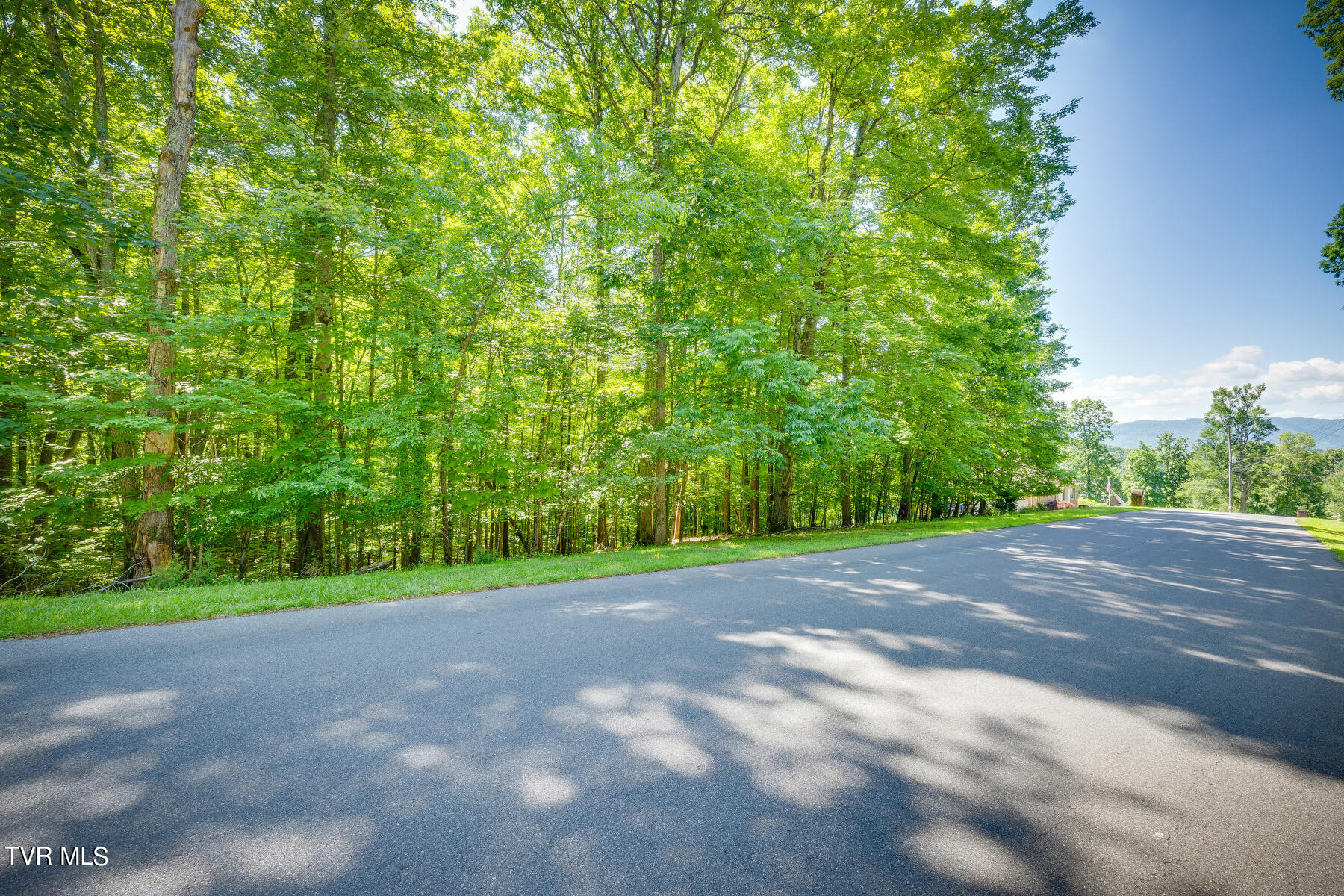 Tbd Whitetail Road, Unit 109 Church Hill, TN 37642 - Photo 1 of 16 21