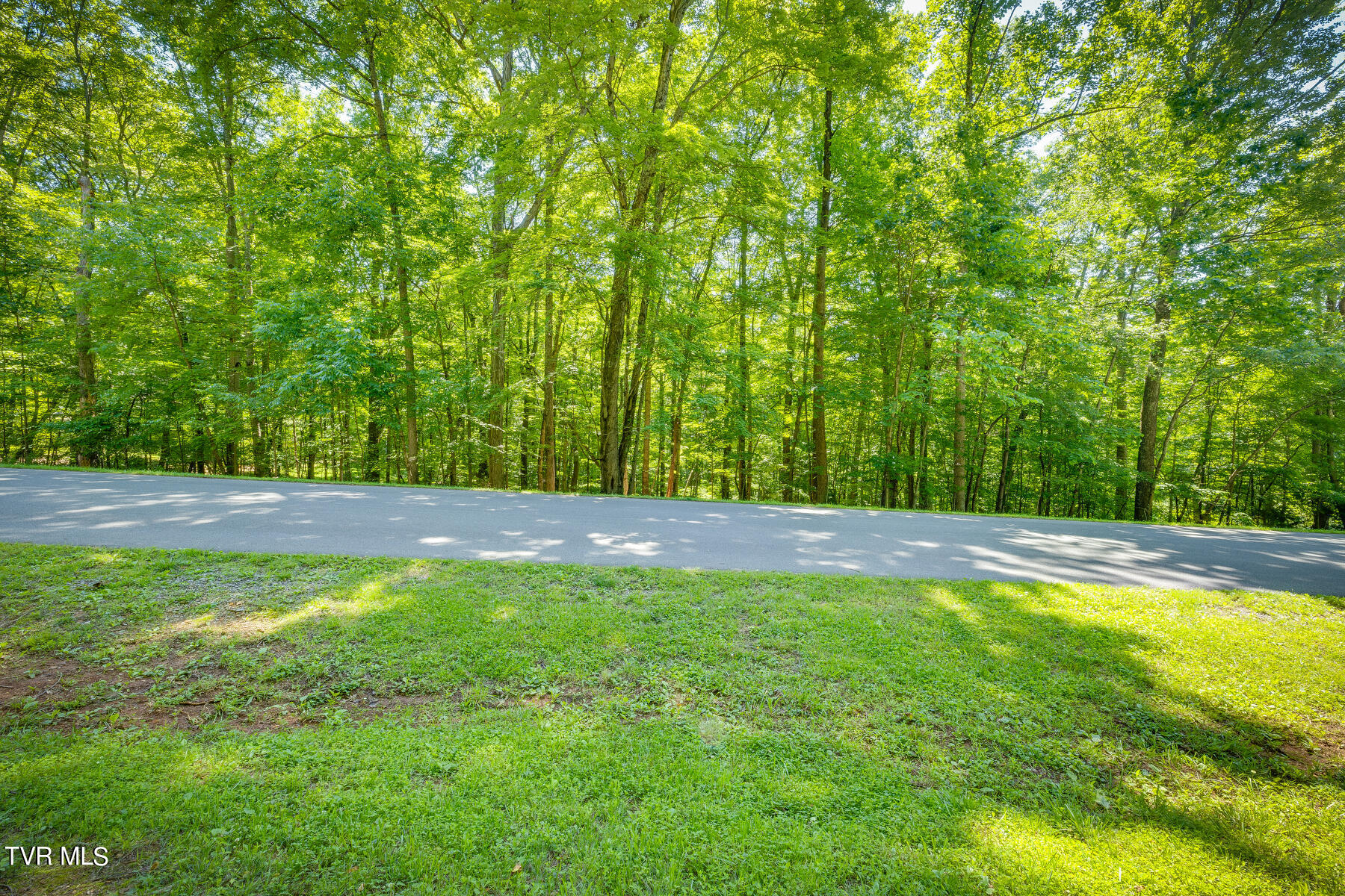 Tbd Whitetail Road, Unit 109 Church Hill, TN 37642 - Photo 4 of 16 22