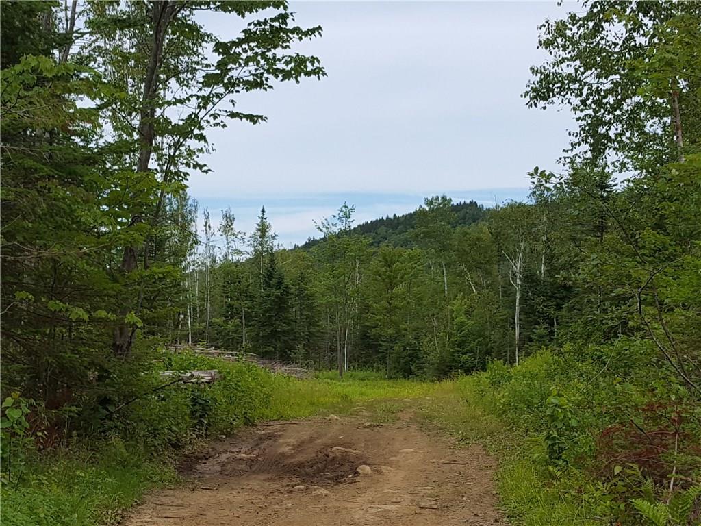 201 A Back Street Upton, ME 04261 - Photo 1 of 10 Photo