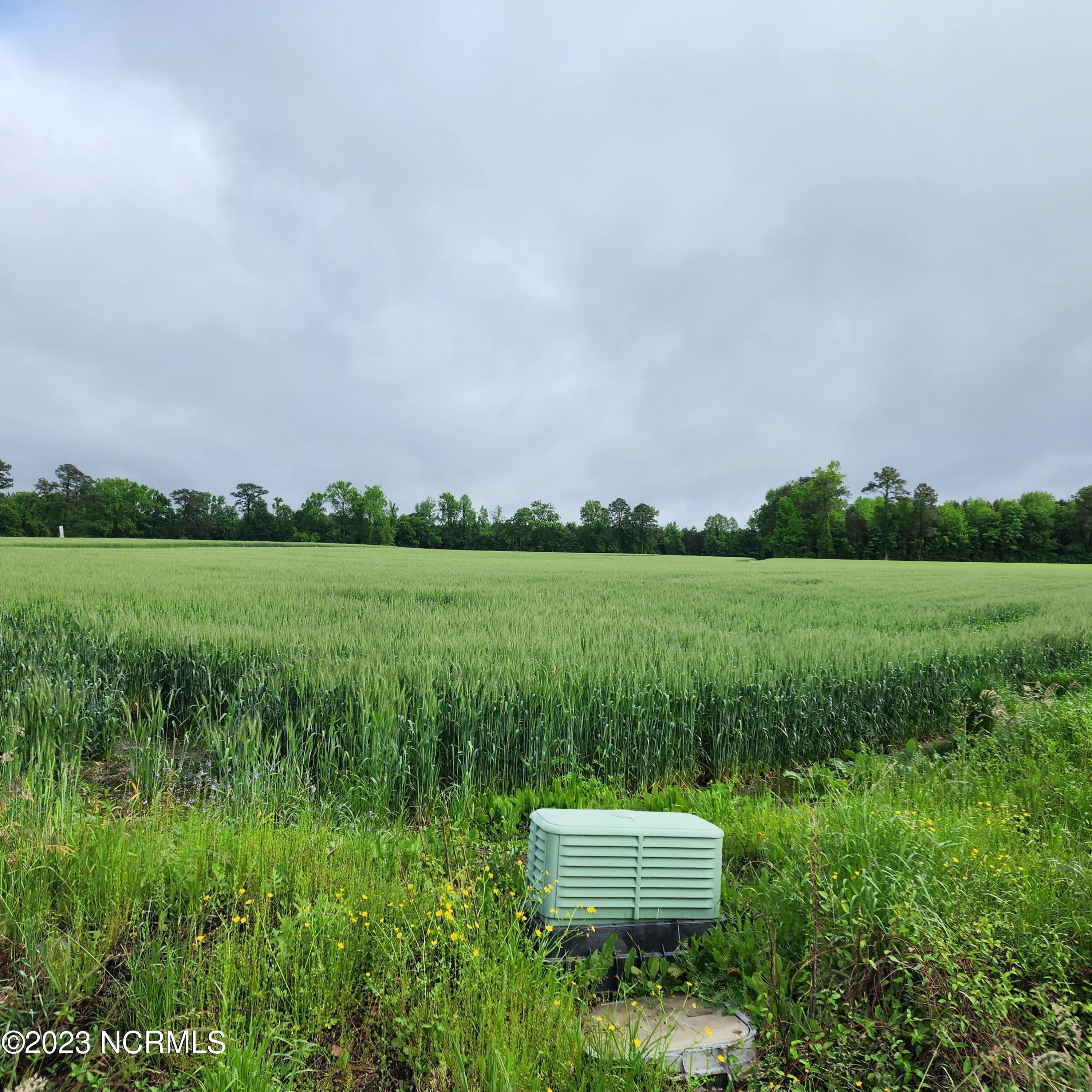 1341 Willeyton Road Gates, NC 27937 - Photo 6 of 18 20230428_173253