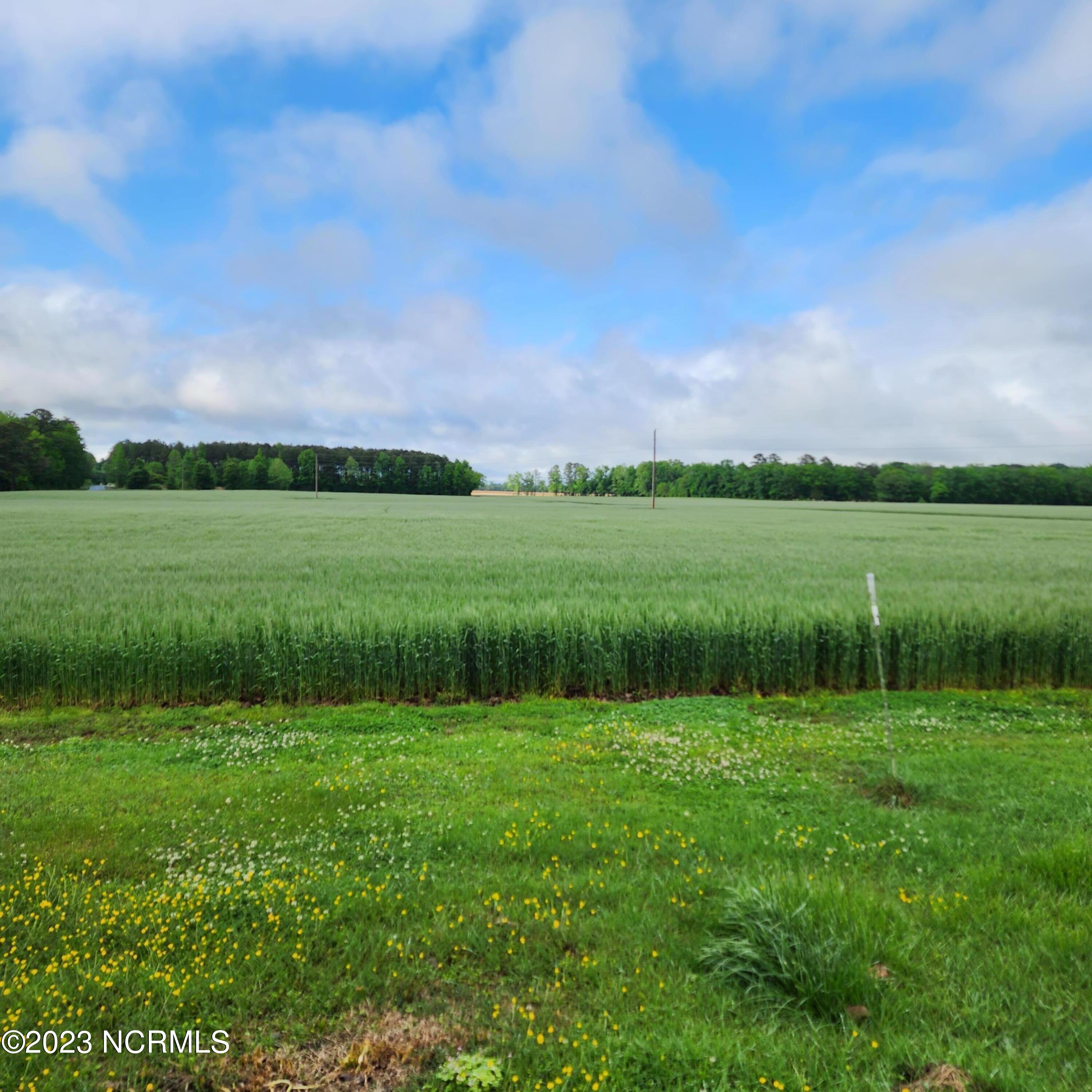 1341 Willeyton Road Gates, NC 27937 - Photo 8 of 18 20230428_173717