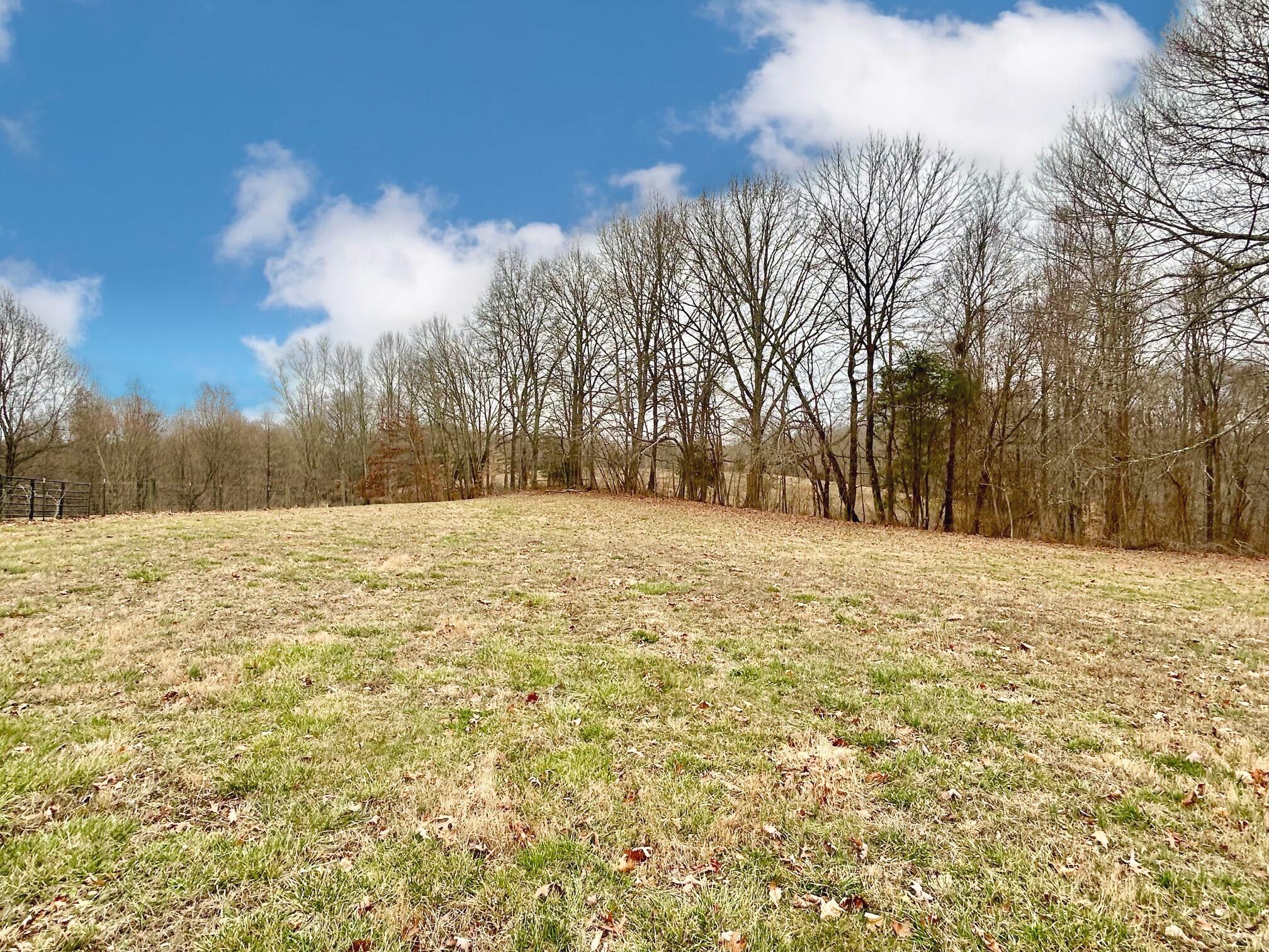784 Lynch Road Russell Springs, KY 42642 - Photo 10 of 10 IMG_1773 (1)