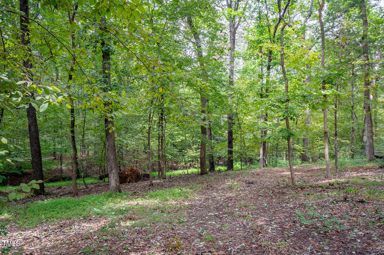 3946 Nottaway Road Durham, NC 27707 - Photo 11 of 18 a view of a forest with trees in the background