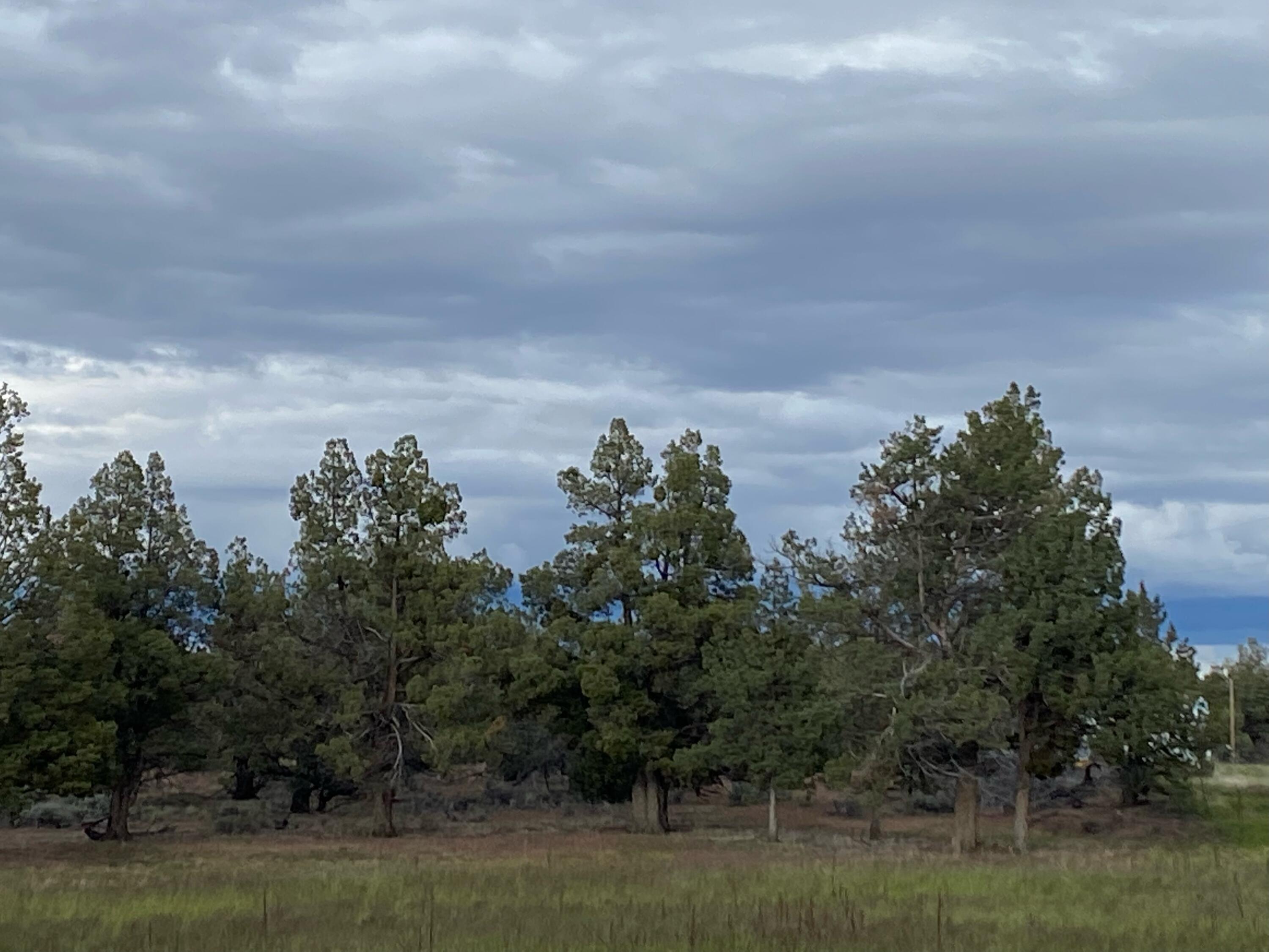62324 Byram Road Bend, OR 97701 - Photo 19 of 20 62324 BYRAM RD