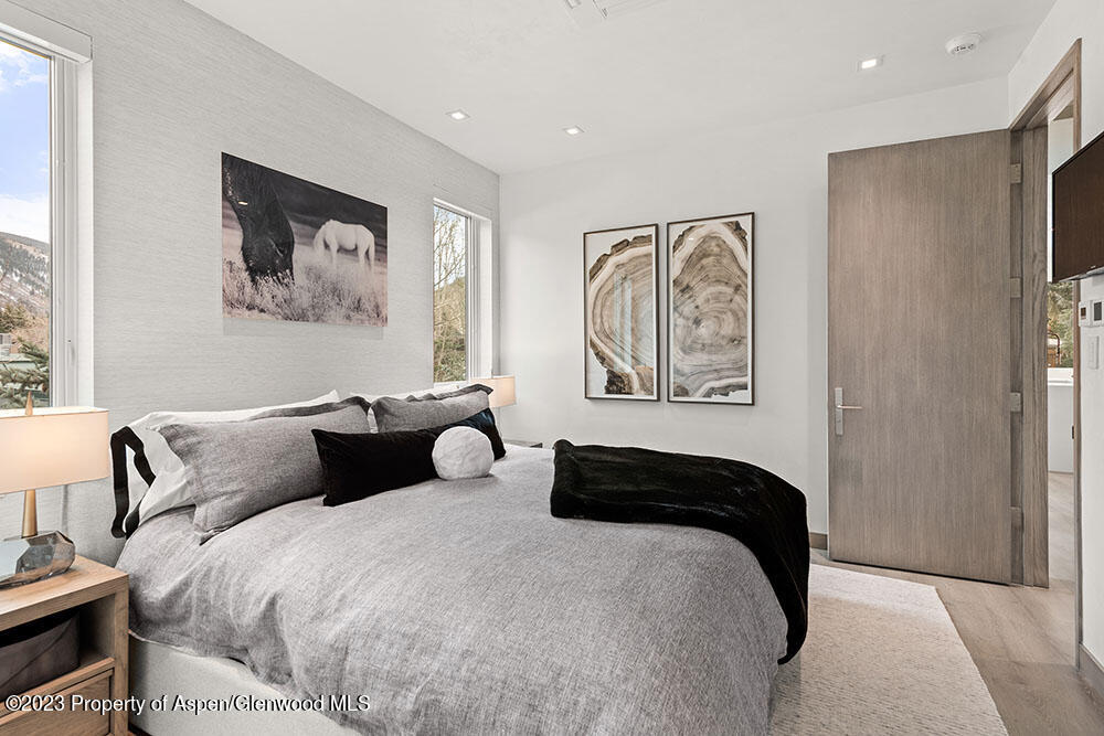 802 East Cooper Avenue, Unit 3 Aspen, CO 81611 - Photo 14 of 28