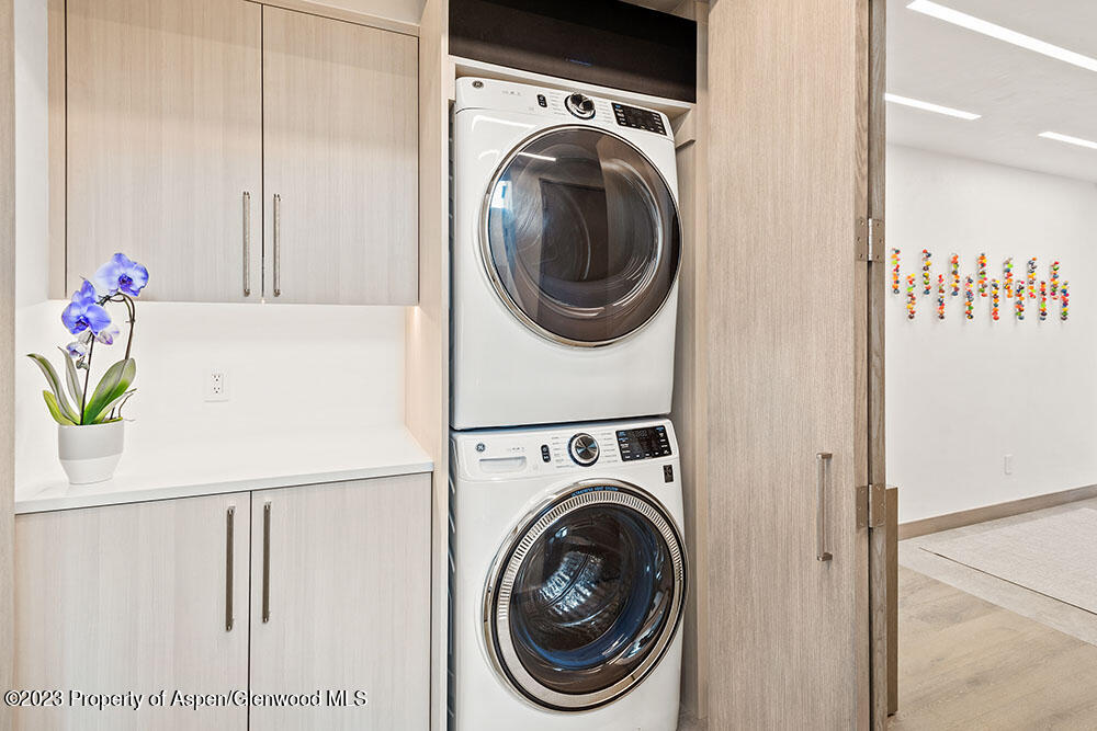 802 East Cooper Avenue, Unit 3 Aspen, CO 81611 - Photo 24 of 28 a utility room with dryer and washer