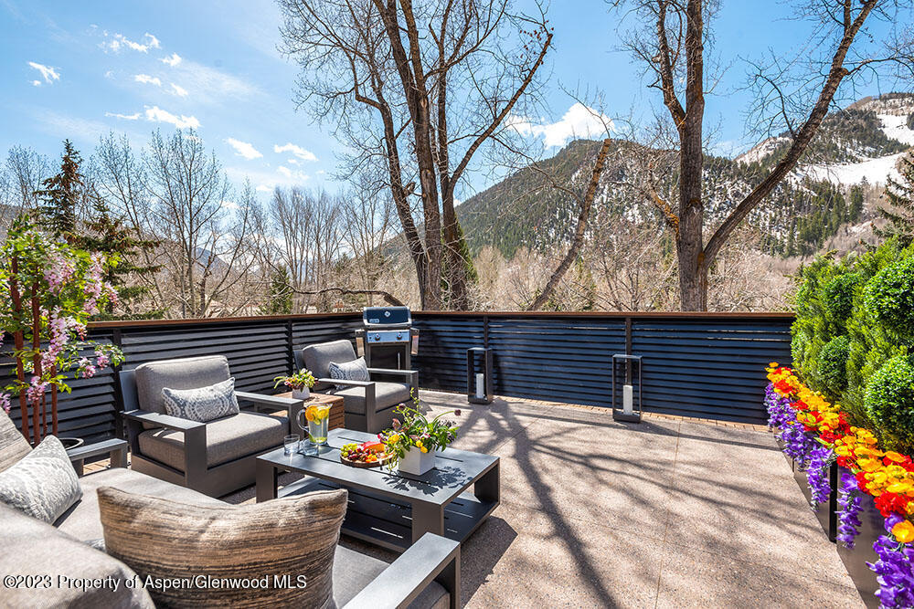 802 East Cooper Avenue, Unit 3 Aspen, CO 81611 - Photo 25 of 28 a view of outdoor space with seating
