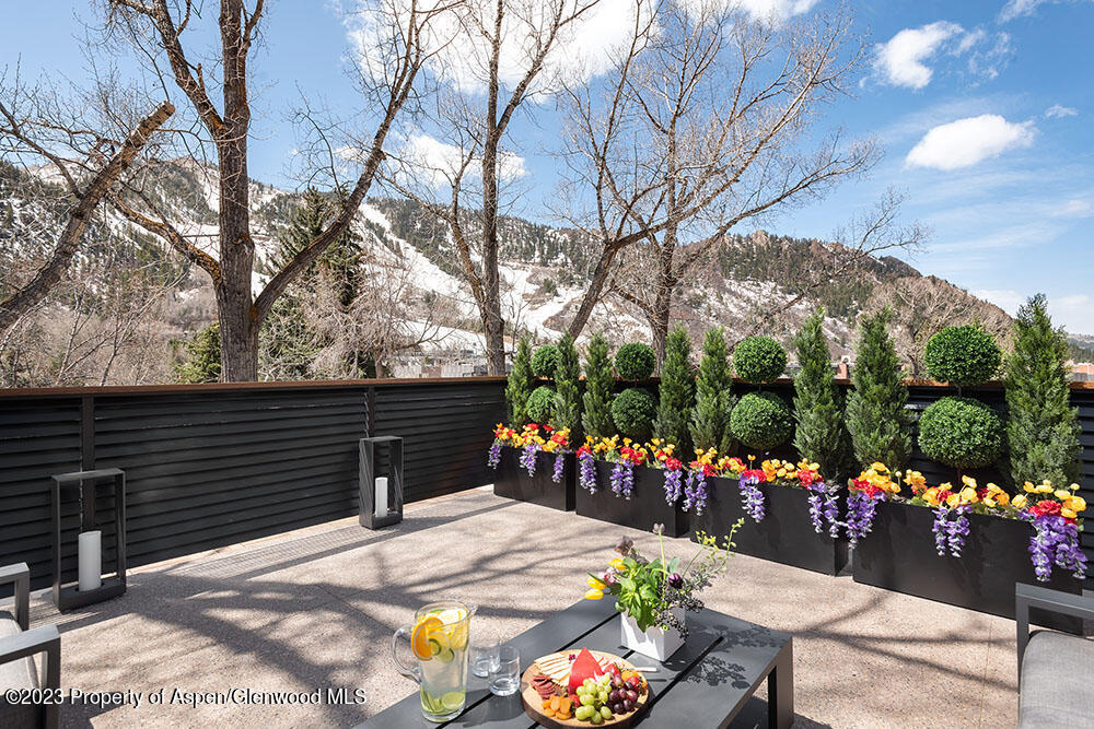802 East Cooper Avenue, Unit 3 Aspen, CO 81611 - Photo 26 of 28 a view of street from balcony