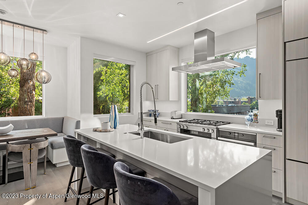 802 East Cooper Avenue, Unit 3 Aspen, CO 81611 - Photo 3 of 28 a kitchen with stainless steel appliances granite countertop a sink and a stove