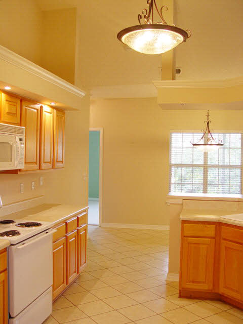9546 Mosley Road Fairhope, AL 36532 - Photo 15 of 45 Kitchen, high ceilin