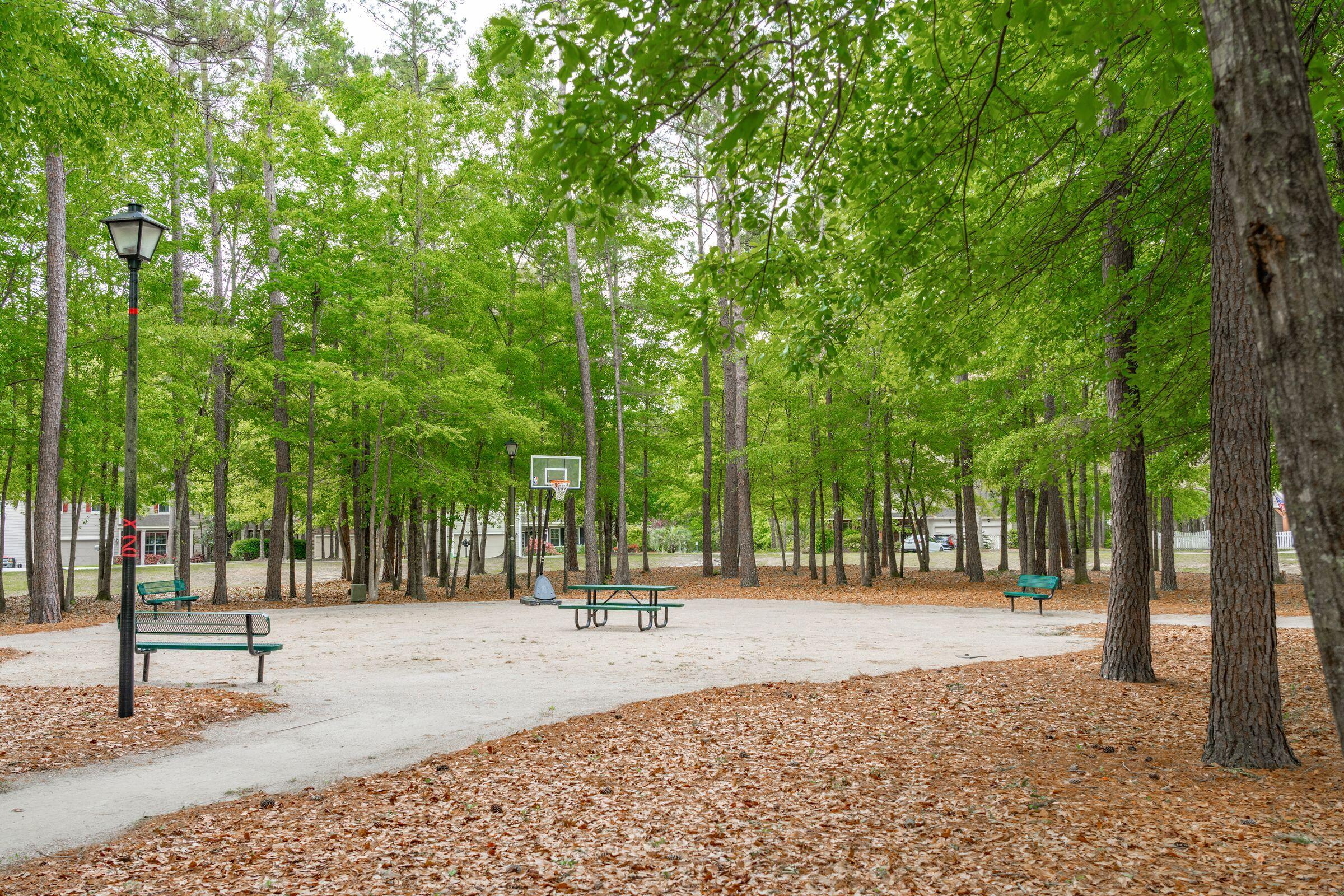 109 Shea Street Summerville, SC 29485 - Photo 54 of 63 109SheaSt-KeenEyeMarketing-046