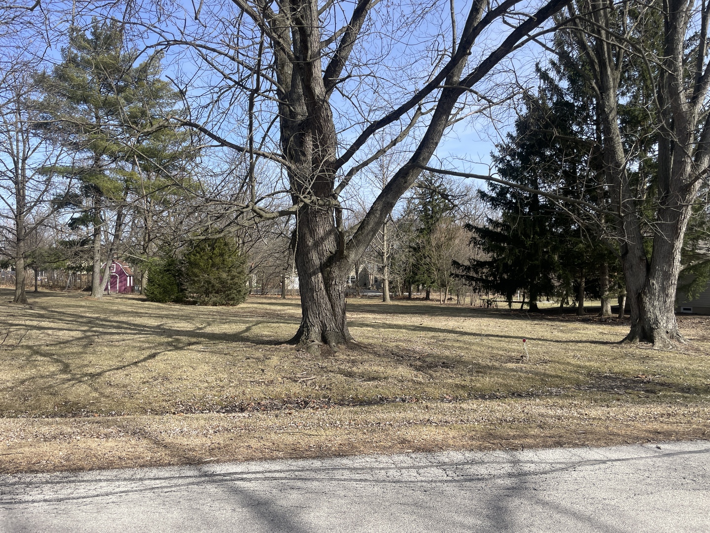 Lot 6 East Brightway Road Mokena, IL 60448 - Photo 1 of 1 a view of a yard with large trees