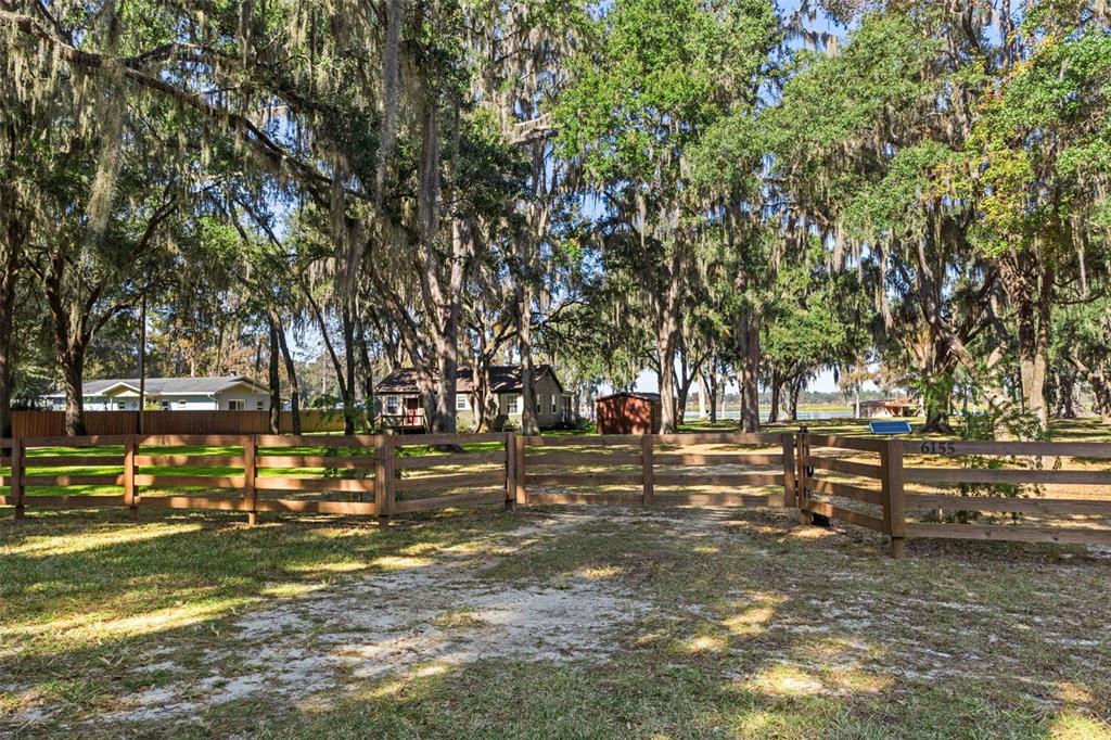 6185 West Riverbend Road Dunnellon, FL 34433 - Photo 27 of 49 a view of a yard with large trees