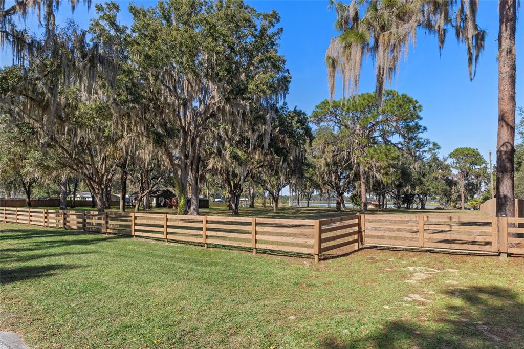 6185 West Riverbend Road Dunnellon, FL 34433 - Photo 28 of 49 a view of garden with trees