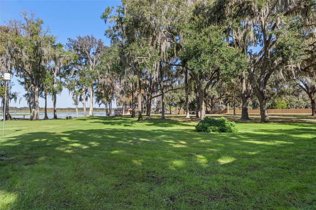 6185 West Riverbend Road Dunnellon, FL 34433 - Photo 32 of 49 a garden view with trees