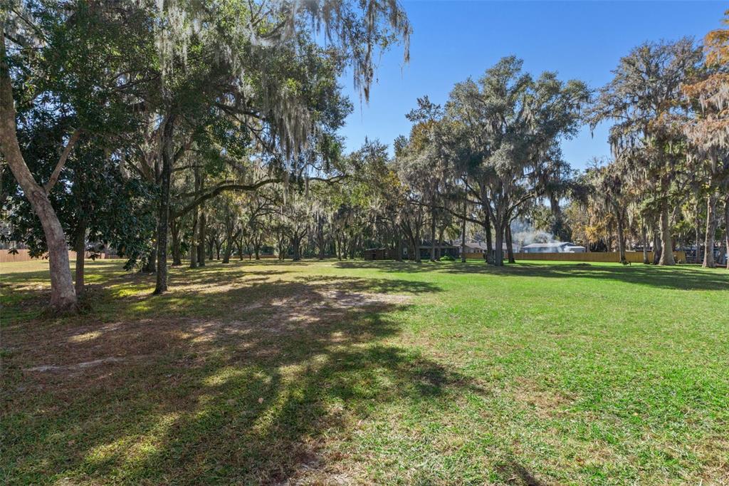 6185 West Riverbend Road Dunnellon, FL 34433 - Photo 33 of 49 a view of outdoor space with trees all around
