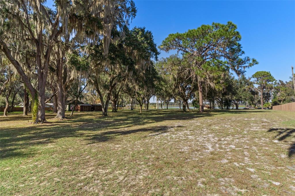 6185 West Riverbend Road Dunnellon, FL 34433 - Photo 36 of 49 a view of a yard with large trees