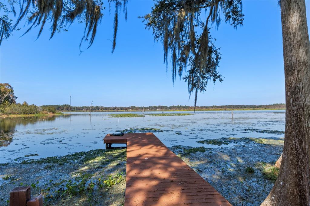 6185 West Riverbend Road Dunnellon, FL 34433 - Photo 44 of 49 a view of a lake from a yard