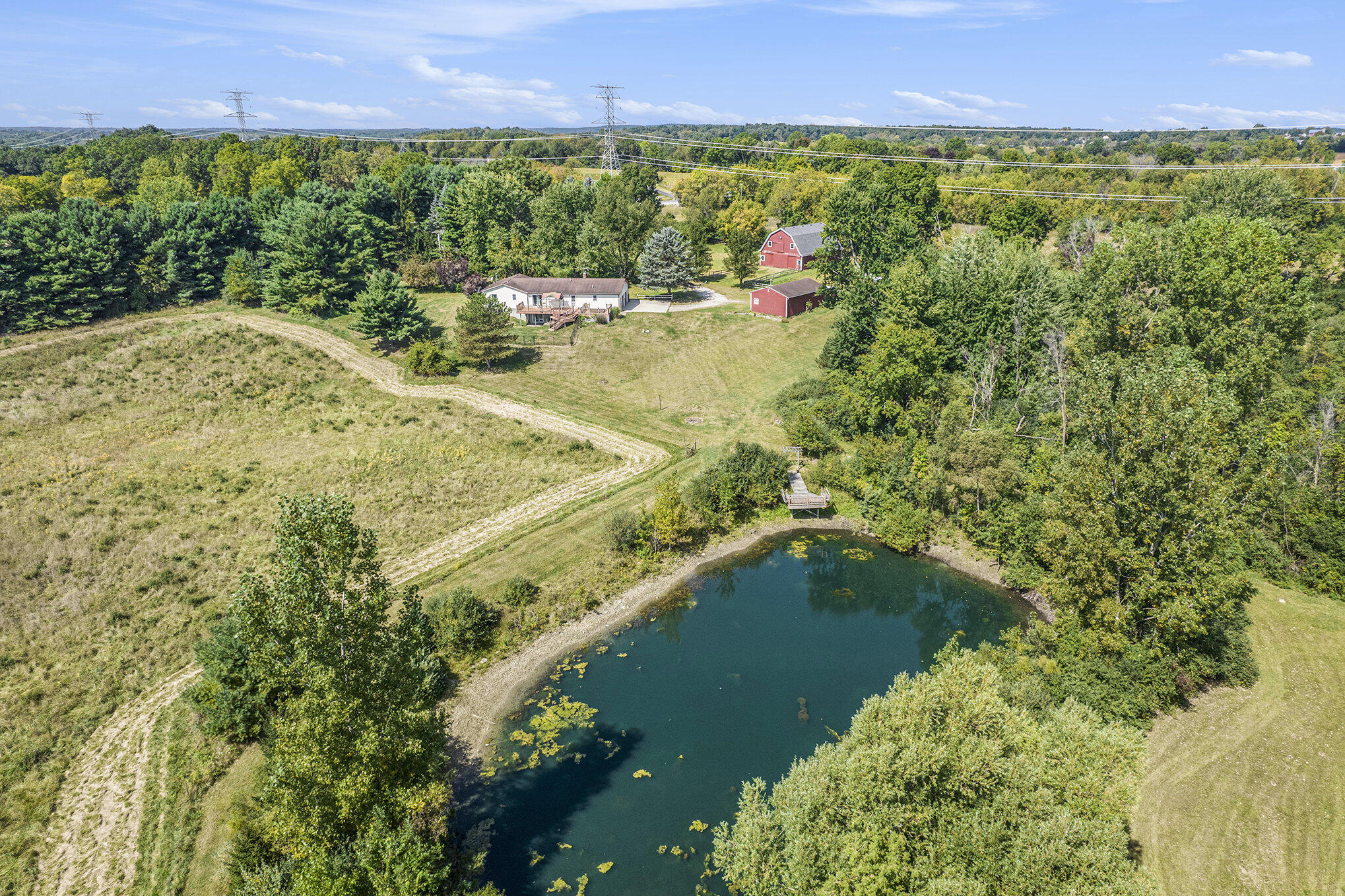4418 Mast Road Dexter, MI 48130 - Photo 50 of 69 026_dji_0005_888