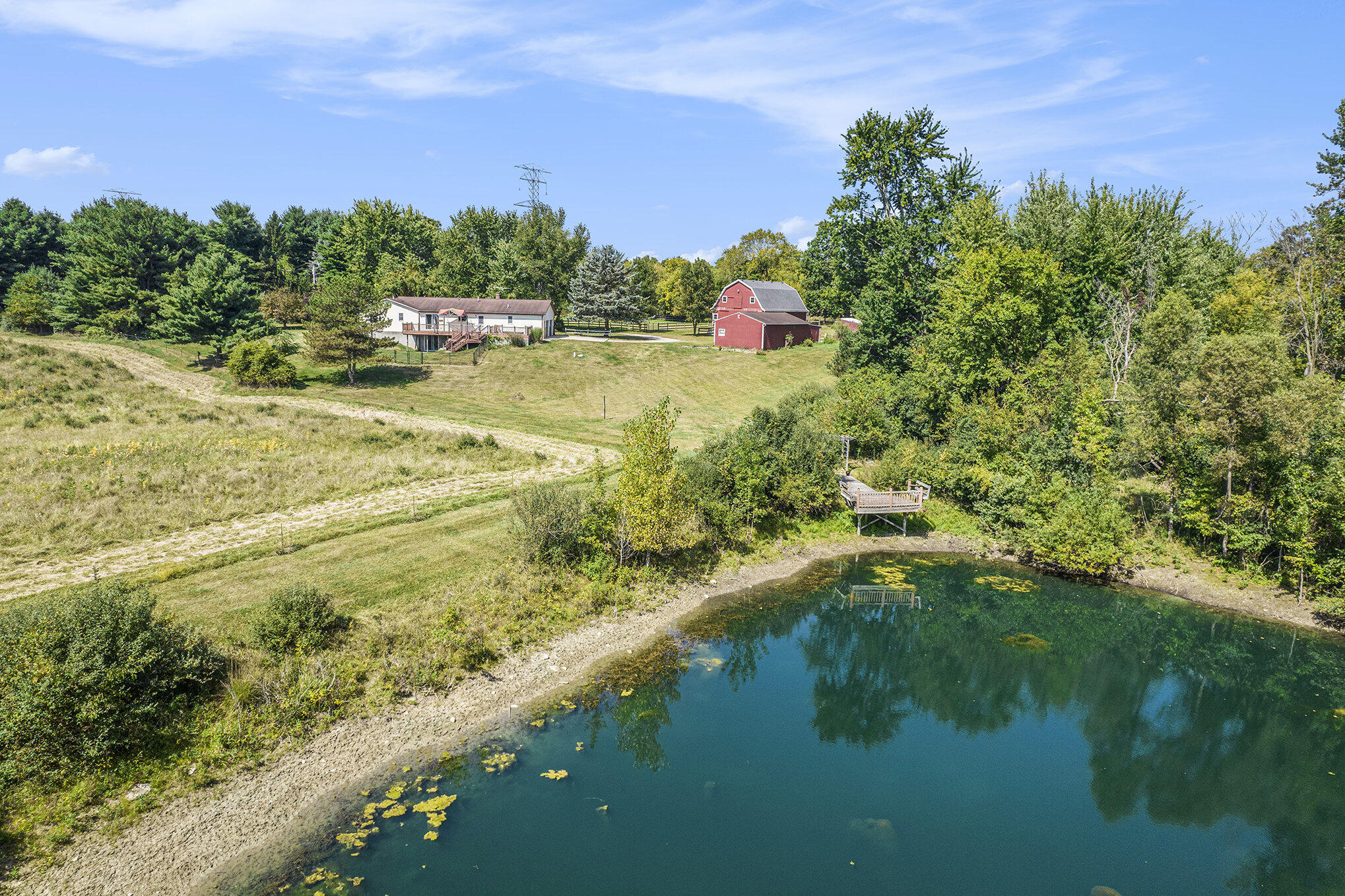 4418 Mast Road Dexter, MI 48130 - Photo 5 of 69 022_dji_0006_490