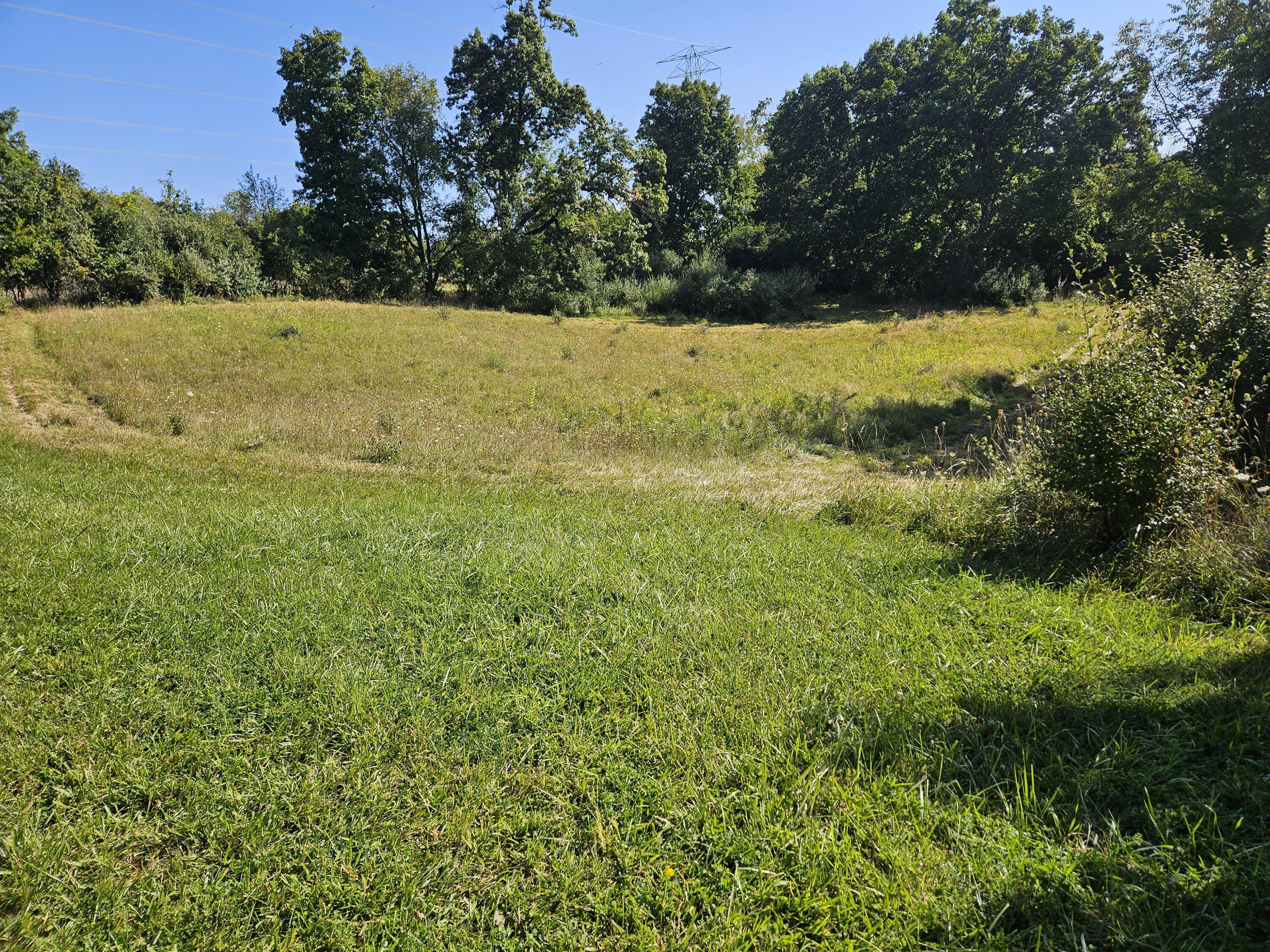 4418 Mast Road Dexter, MI 48130 - Photo 66 of 69 unnamed