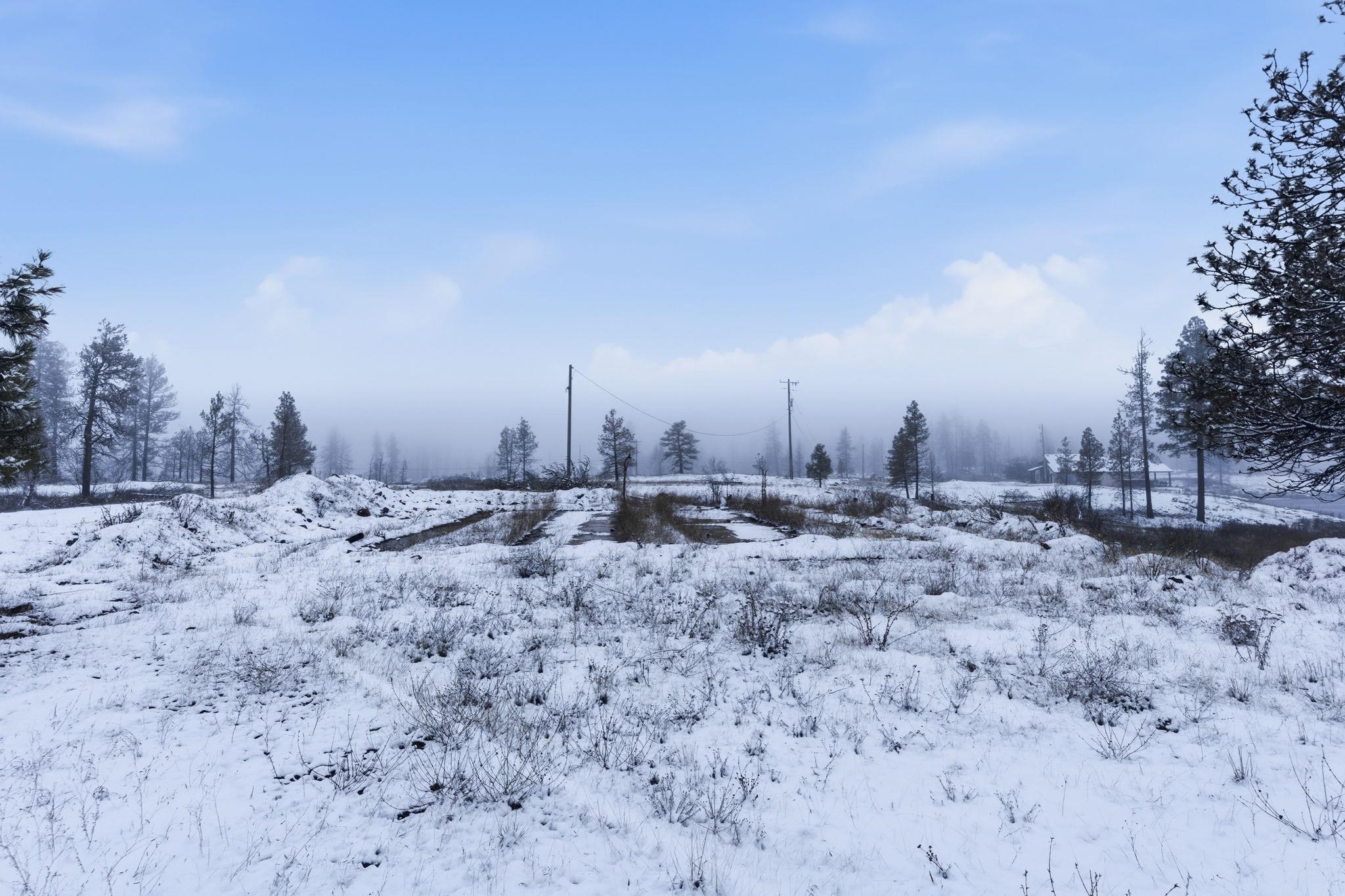 10504 South Medical Lake Road Medical Lake, WA 99022 - Photo 15 of 22