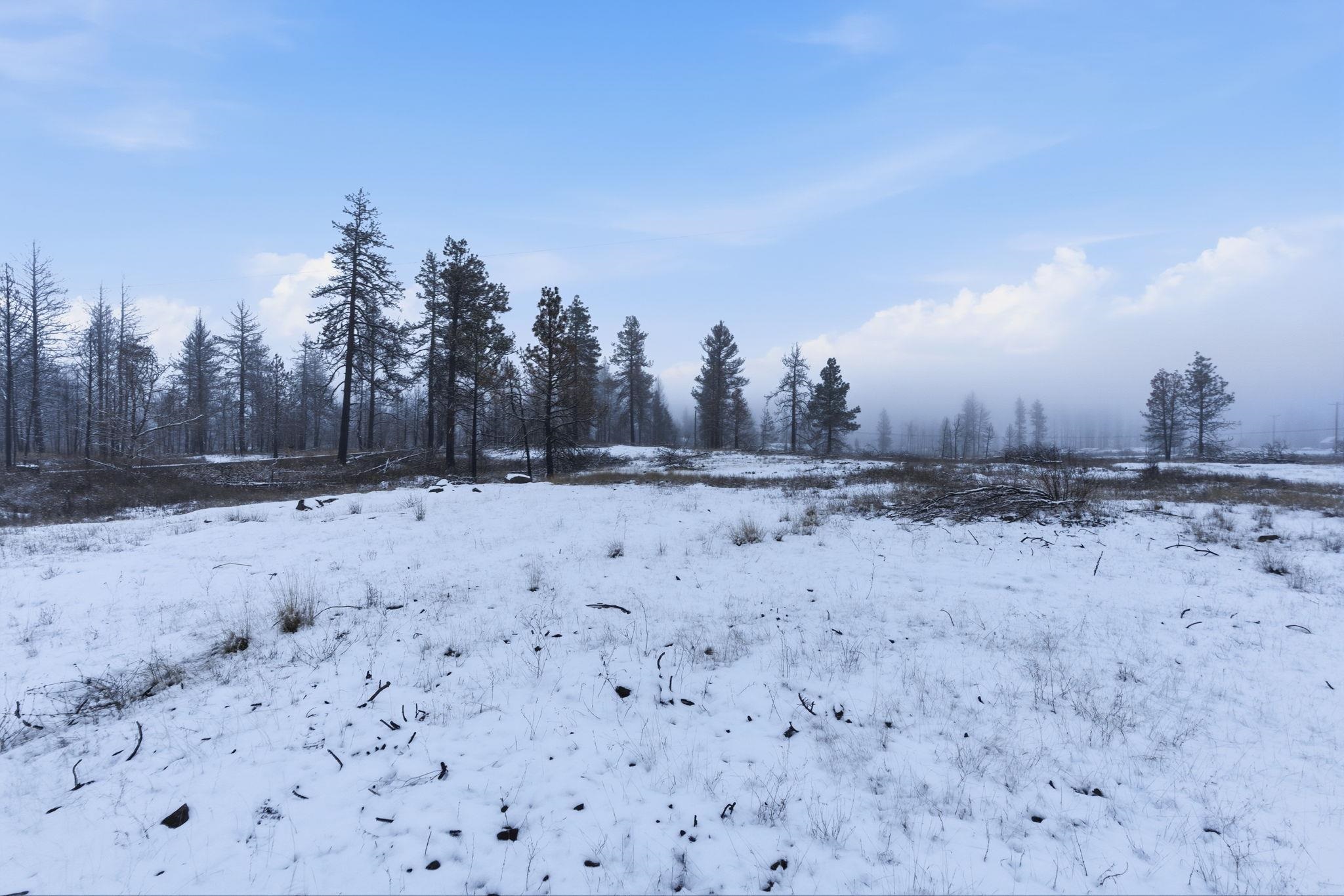 10504 South Medical Lake Road Medical Lake, WA 99022 - Photo 21 of 22