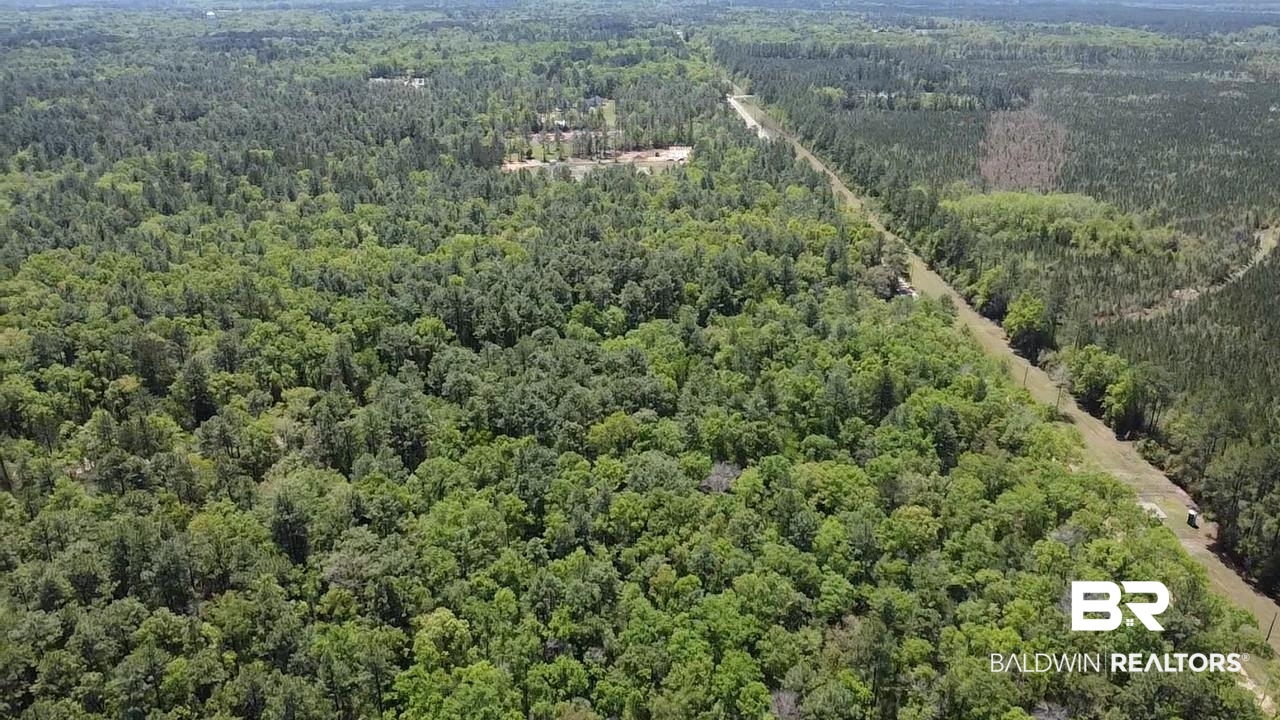 0 I-65 Service Road Creola, AL 36525 - Photo 18 of 20 Drone / aerial view with a wooded view
