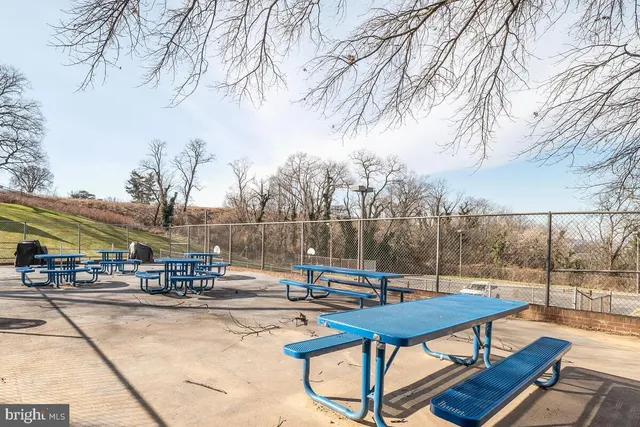 a view of a park with couch