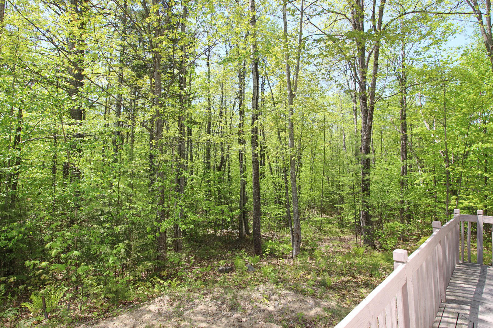 90 Bailey Road Bethel, ME 04217 - Photo 32 of 38 2020-05-26 00.35.29