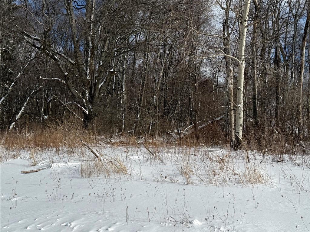 0 Wilgus Road Hillsdale, PA 15746 - Photo 11 of 20