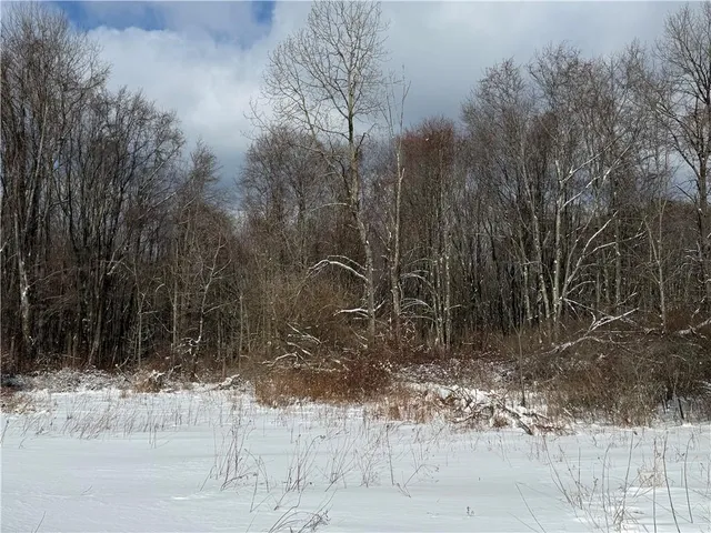 $109,000 | 0 Wilgus Road, Hillsdale, PA 15746