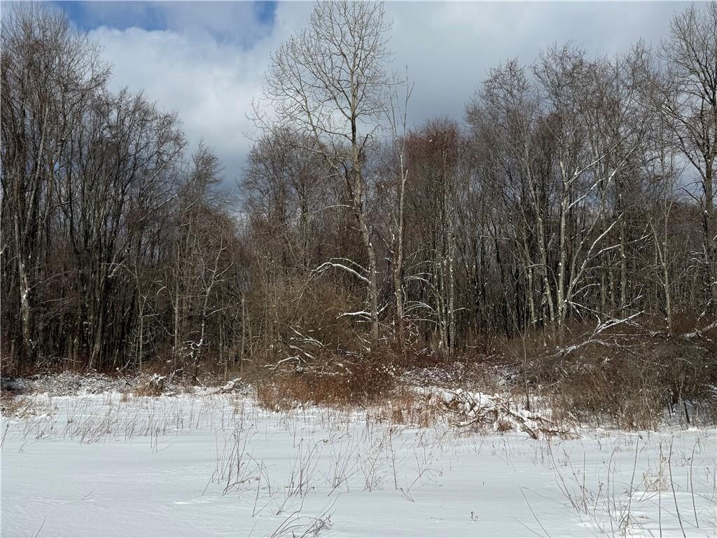 0 Wilgus Road Hillsdale, PA 15746 - Photo 12 of 20