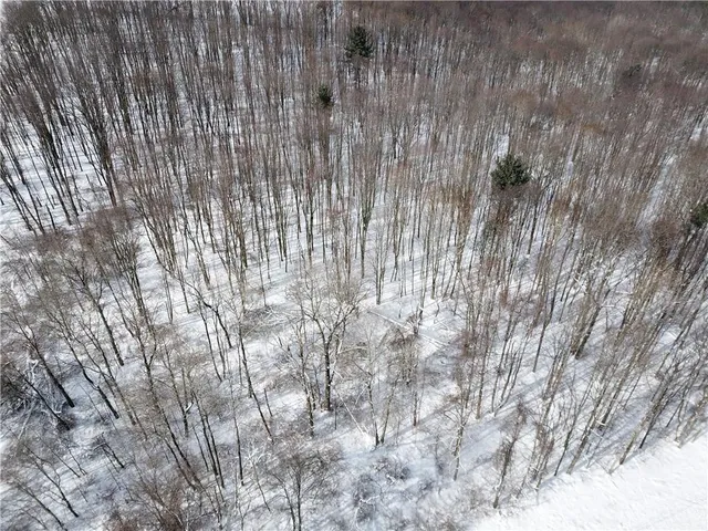 $109,000 | 0 Wilgus Road, Hillsdale, PA 15746