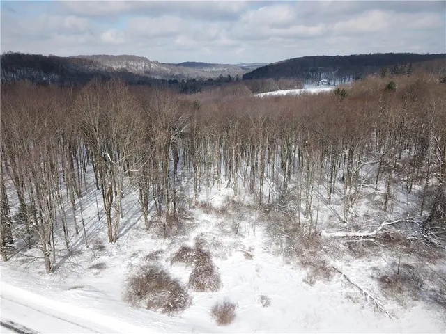 $109,000 | 0 Wilgus Road, Hillsdale, PA 15746