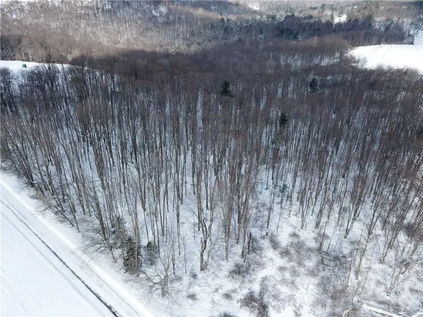 a view of lot of trees