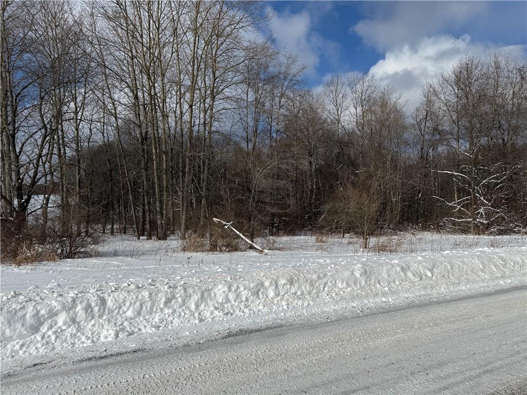 0 Wilgus Road Hillsdale, PA 15746 - Photo 2 of 20