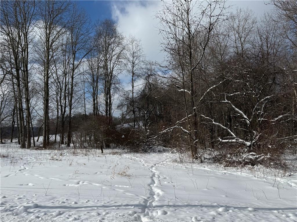 0 Wilgus Road Hillsdale, PA 15746 - Photo 3 of 20