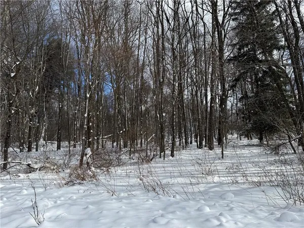 a view of outdoor space with trees