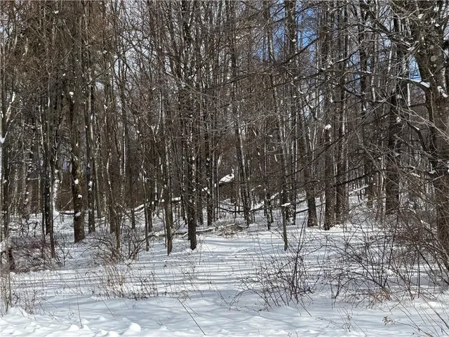 $109,000 | 0 Wilgus Road, Hillsdale, PA 15746