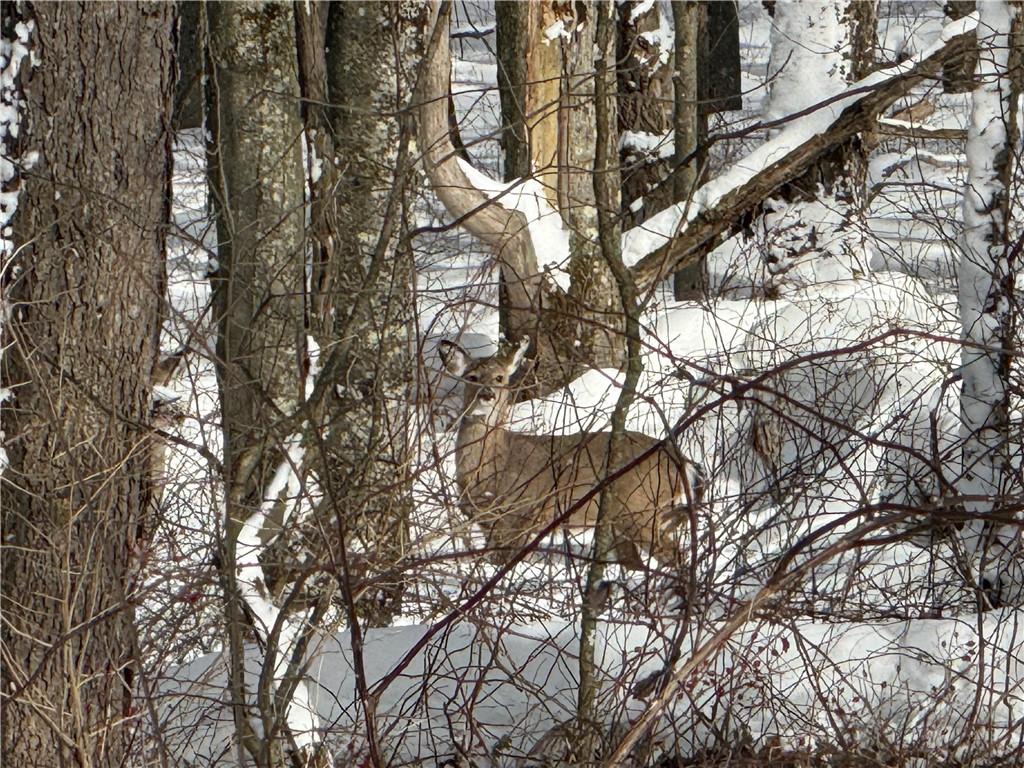 0 Wilgus Road Hillsdale, PA 15746 - Photo 6 of 20