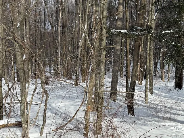 $109,000 | 0 Wilgus Road, Hillsdale, PA 15746