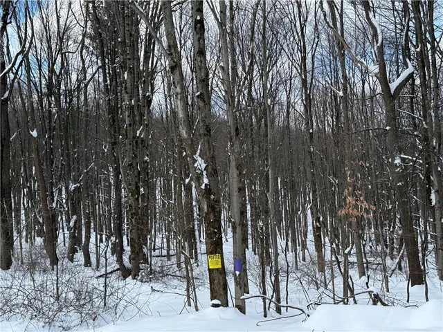 $109,000 | 0 Wilgus Road, Hillsdale, PA 15746