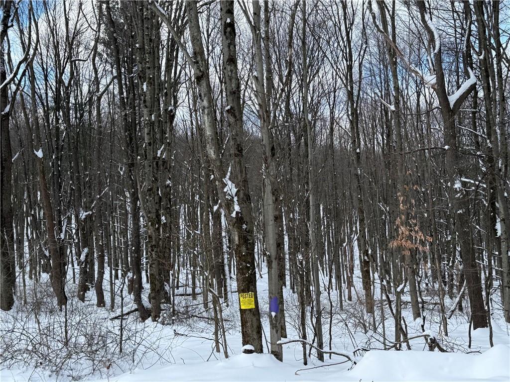 0 Wilgus Road Hillsdale, PA 15746 - Photo 10 of 20