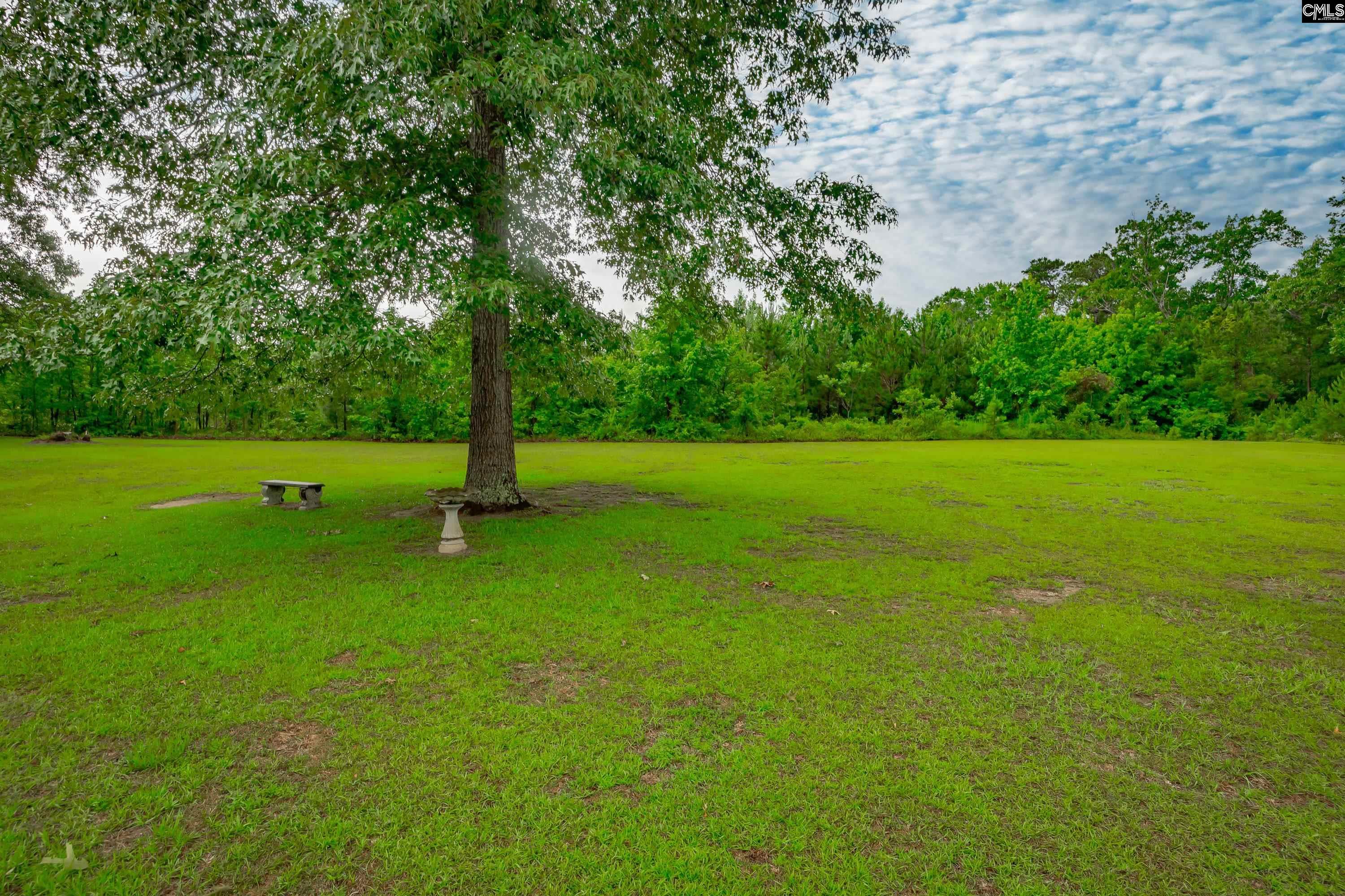 235 Sorin Circle Elloree, SC 29047 - Photo 46 of 53