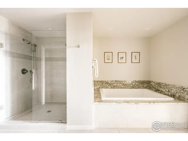 a bathroom with a bathtub and a shower