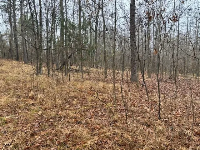 a view of covered with snow