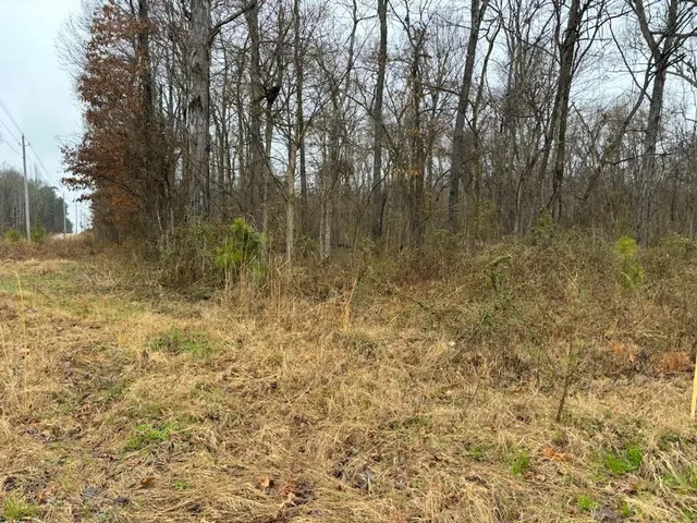a view of a yard with trees in the background