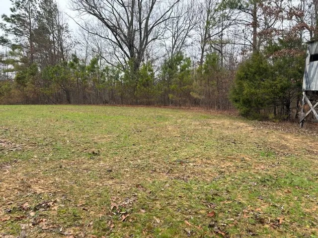 a view of a yard with a tree