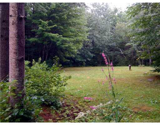 306 Burnt Mill Road Wells, ME 04090 - Photo 7 of 17 Land. Beautiful land and plenty of it.